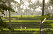 Trekking Activities - Chinese New Year Package at Kamandalu Resort and Spa