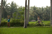 Village Cycling - Ubud Christmas Package