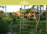 Weeken Getaway Package