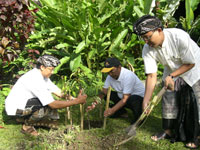 Mr. Tohsari Widjaja