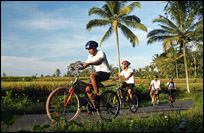 Cycling - Kamandalu Activities