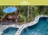 Family Plan Promotion