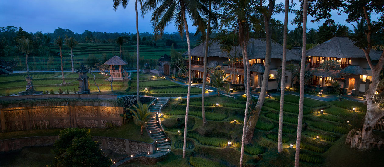 Rice Paddies view - Kamandalu Resort and Spa, Ubud, Bali - Accommodation, villas, resort in Ubud