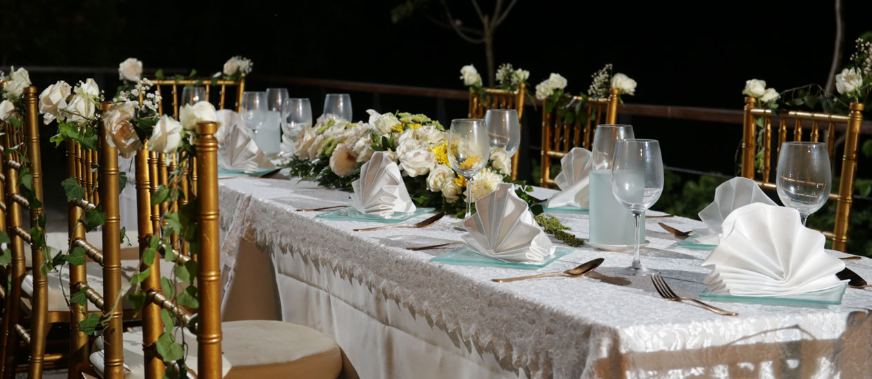Theme Dinner
