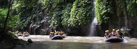Ayung White Water Rafing
 - Ubud Experience by Kamandalu Ubud