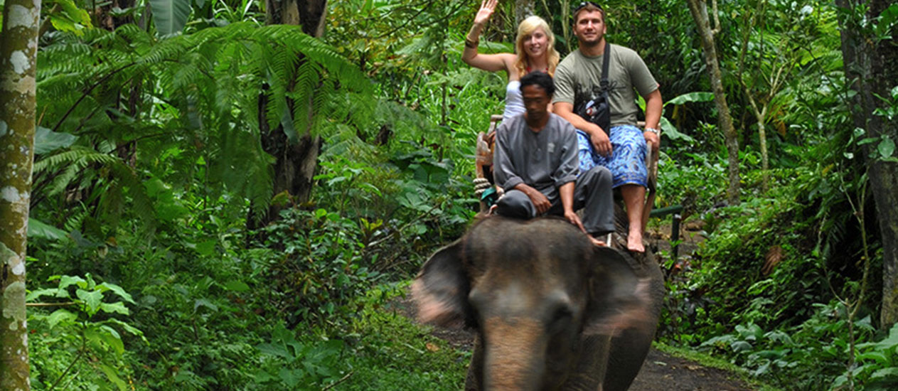 Elephant Safari Ride at Taro, Elephant Park Ubud, Ubud Experience, Bali