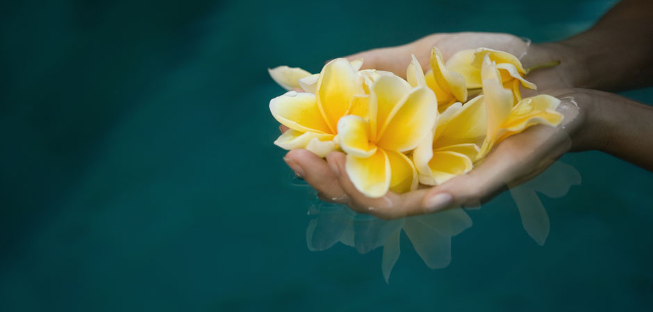 Flowers - Spa in Ubud, Bali spa packages, treatments, massage, facial, lulur