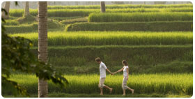 Ubud experience: 